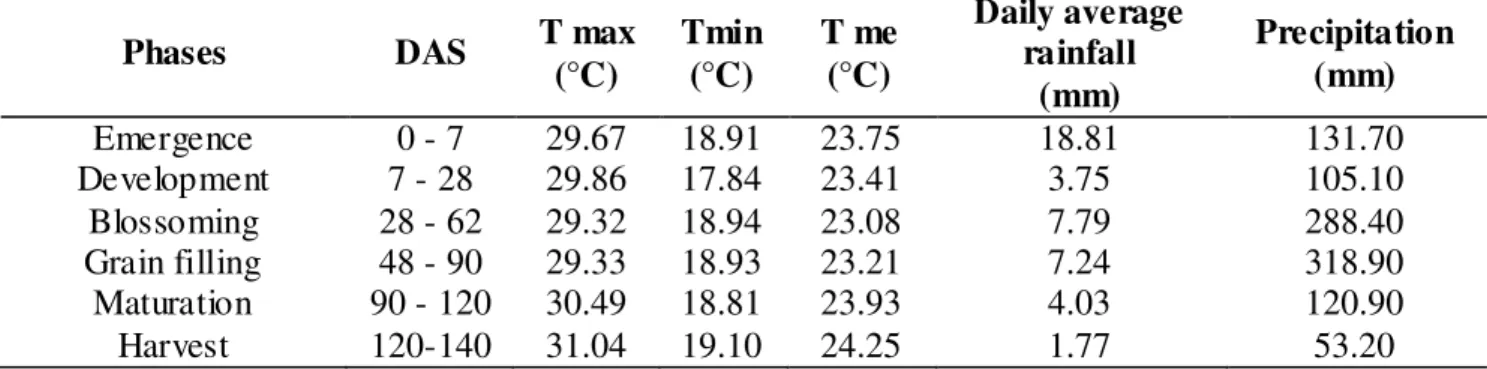 TABLE 1. Maximum (T max), minimum (T min) and mean (T me) temperatures, daily average and  cumulative rainfall for the period of development of the peanut crop in function of days  after sowing (DAS)