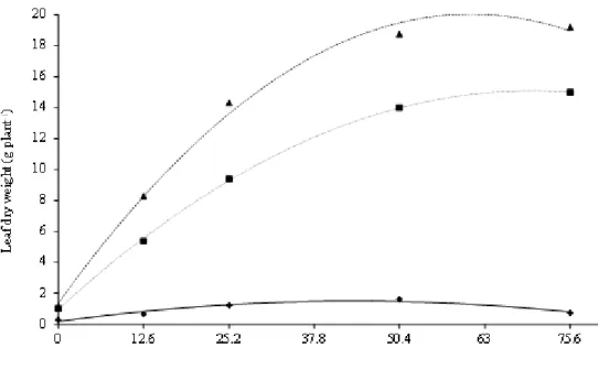 FIGURE 6. Leaf (6A) and stem (6B) dry weight of corn depending on doses of cassava wastewater  and evaluation times (20, 40 e 52 DAG)
