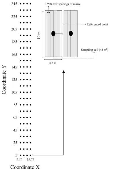 FIGURE 1. Experimental field divided into 100 cells for corn yield and represented by their central  points  for sampling  soil attributes and corn  yield  in an  Distroferric  Red Oxisol  under  no-tillage system