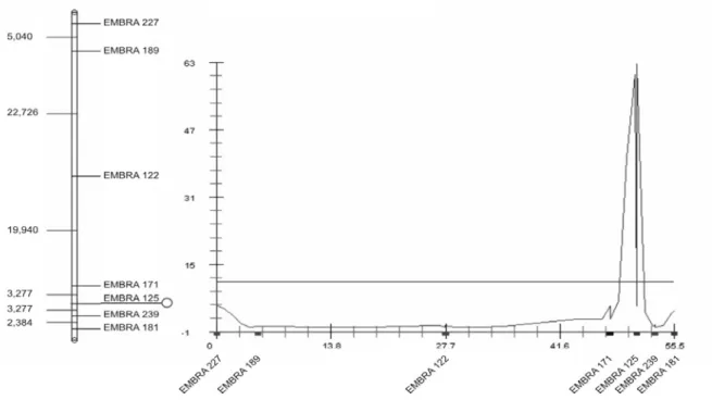 Figure 1. Display generated demonstrating the QTL for rust resistance, mapped employing the Fulker and Cardon regression, in linkage group three