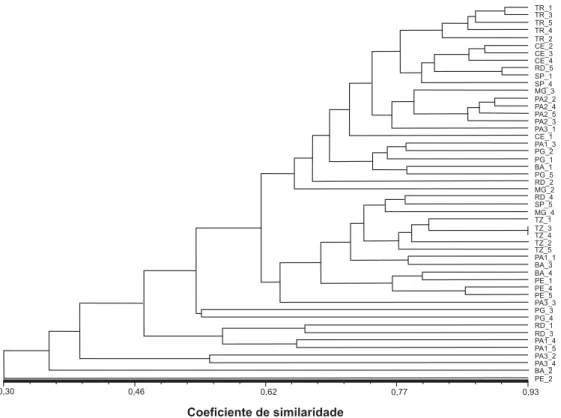 Figure 1. UPGMA dendogram of the similarity coefficient of Jaccard of 50 jatropha plants of 12 accessions from different origins, analyzed with 164 AFLP markers