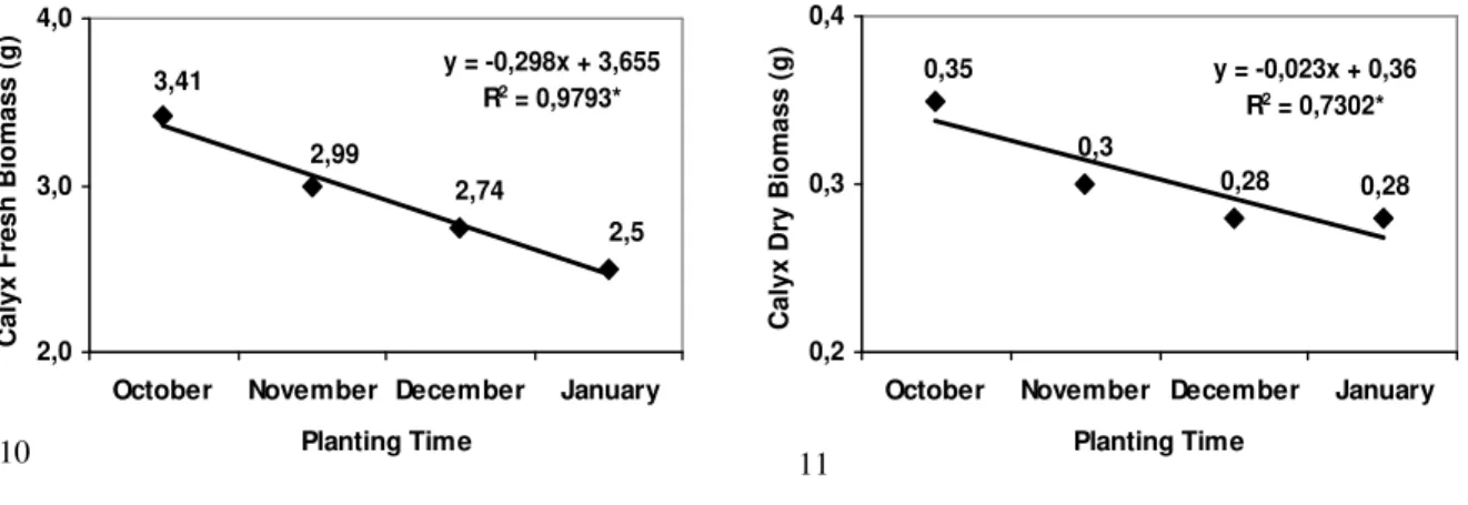 FIGURE 12  Graphical representation of the dry mass plant yields of vinegar plant calyxes in Kg/ha at planting  seasons