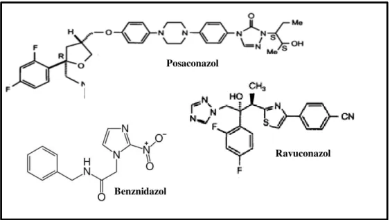 Figura  2:  Estrutura  química  dos  fármacos  utilizados  no  estudo.  Posaconazol  e  ravuconazol  são  derivados azólicos; benznidazol é um derivado nitoimidazólico