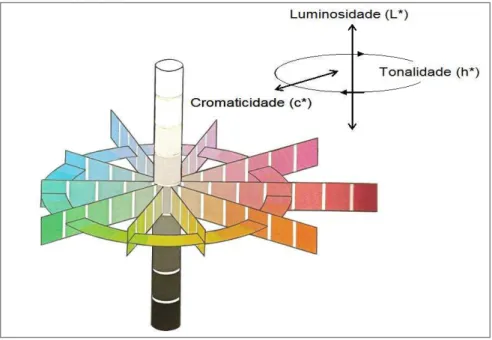 Figura 3.7.  Representação  gráfica  das  coordenadas cromáticas  L*, C* e H*  (Adaptação de: 