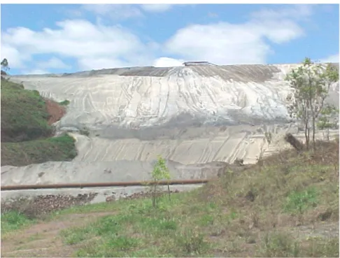 Figura 4.7 – Vista frontal do talude de jusante da Barragem de Campo Grande