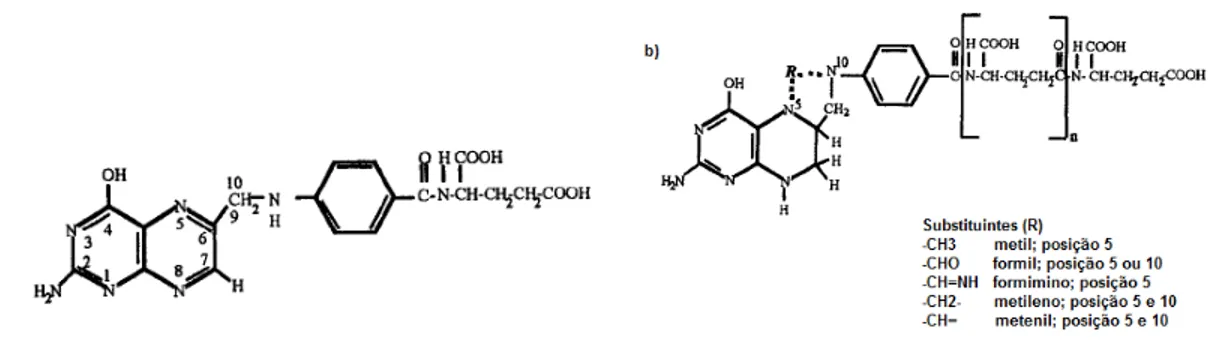 Figura 2 - Estrutura do ácido fólico e dos folatos naturais dos alimentos 