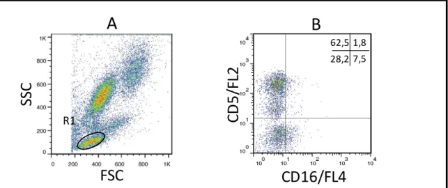 Figura 4: Sequência de procedimentos utilizados para quantificar o percentual de células NK CD5 - CD16 + ,  no sangue periférico de cães submetidos a imunoterapia com a vacina LBMPL e cães controle submetidos ao  tratamento com MPL apenas