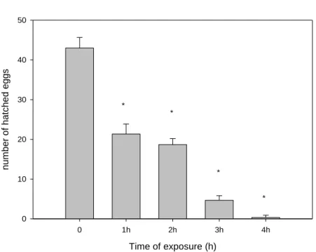 Figure 5 – Number of hatched eggs of Folsomia candida directly exposed for 1, 2, 3 and 4 hours to  UV radiation in plaster