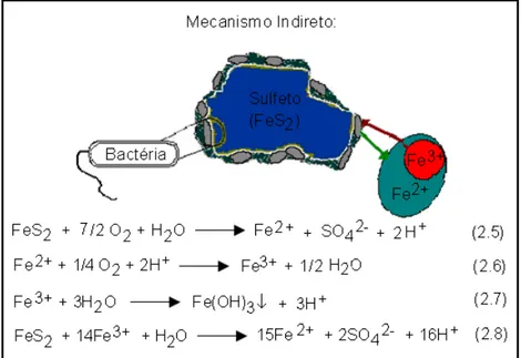 Figura 2.6 - Desenho representativo dos mecanismos de bioxidação de   minerais sulfetados (Zumarán et al., 2003)