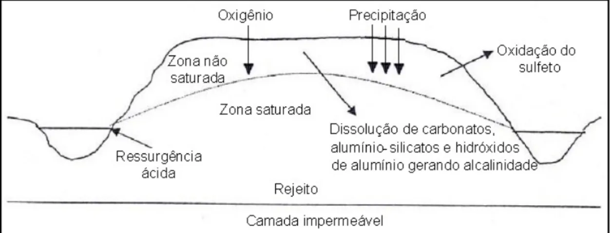 Figura 2.8 - Processo de formação de drenagem ácida de mina em pilha  de rejeito (Pastore e Mioto, 2000)