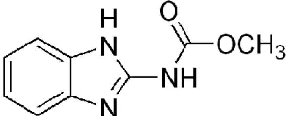 Figure 1 . Methyl 1H -benzimidazol-2-ylcarbamate structure.