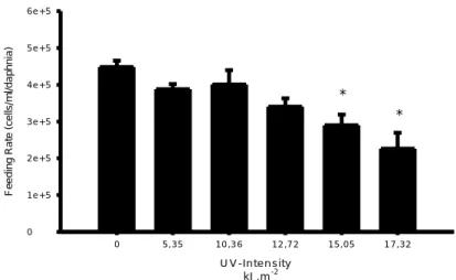 Figure 2. Effects of a pre-exposure to UV-radiation on the feeding rates of Daphnia magna 