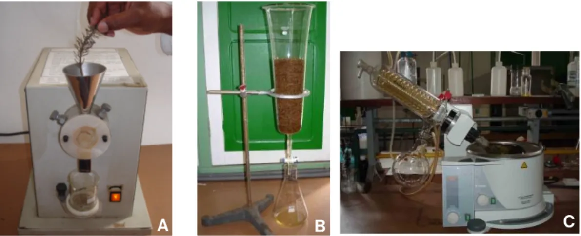 Figura 2: Extração vegetal: pulverização (A), extração por percolação (B) e evaporação  com o uso de rotavapor (C)