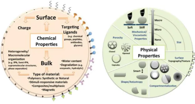 Figure 2.2. Schematic illustration of how chemical surface and the choice of bulk material as  well  as  the  physical  features  such  as  mechanical  properties,  size,  porosity,  surface  topography/texture,  shape  and  compartmentalization  directly 