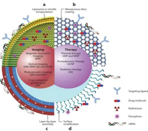 Figure 2.3. Schematic illustration of multifunctional MPs, which can be generated by either 