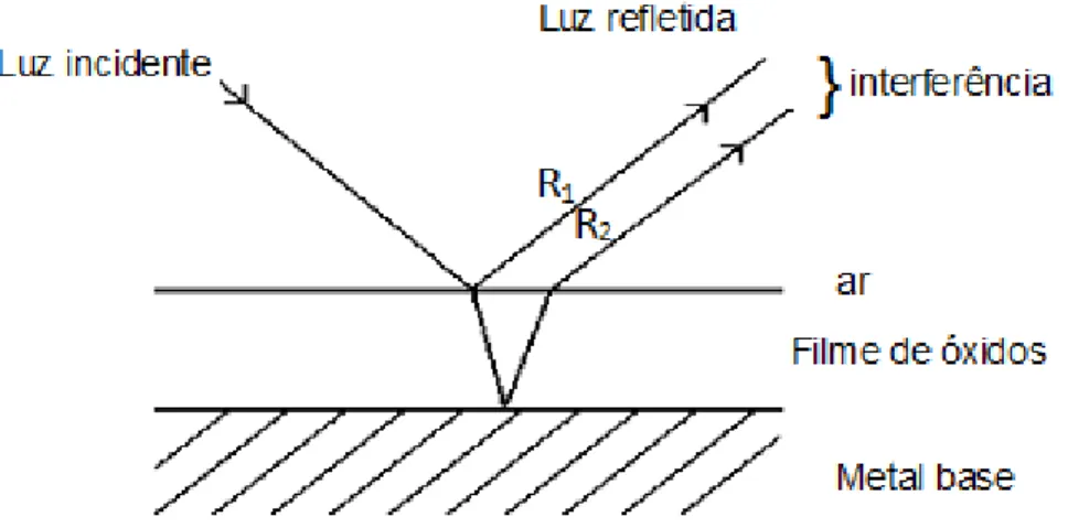 Figura 3.2 – Diagrama esquemático de corte longitudinal de uma chapa de aço inoxidável  colorido (JUNQUEIRA, 2004) 