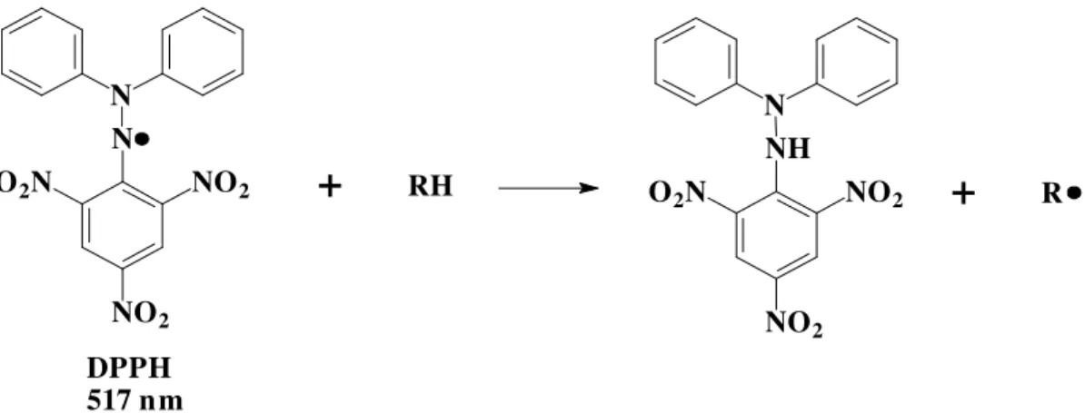 Figura 5 - Estrutura do radical DPPH e sua redução por uma substância antioxidante.