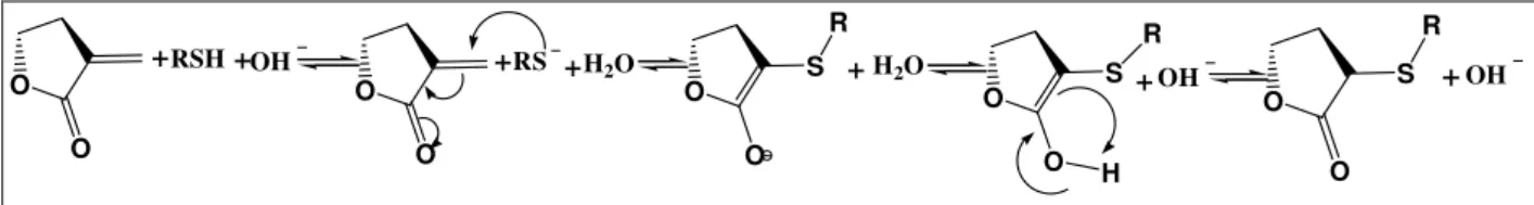 Figura  1.2  -  Mecanismo da adição tipo Michael envolvendo a reação de um grupamento sulfidrila de um  aminoácido em  γ -lactonas com meti leno exocíclico em α à carbonila  em pH alto- escala fisiológica (Adaptado de  SCHIMIDT et al., 1999)