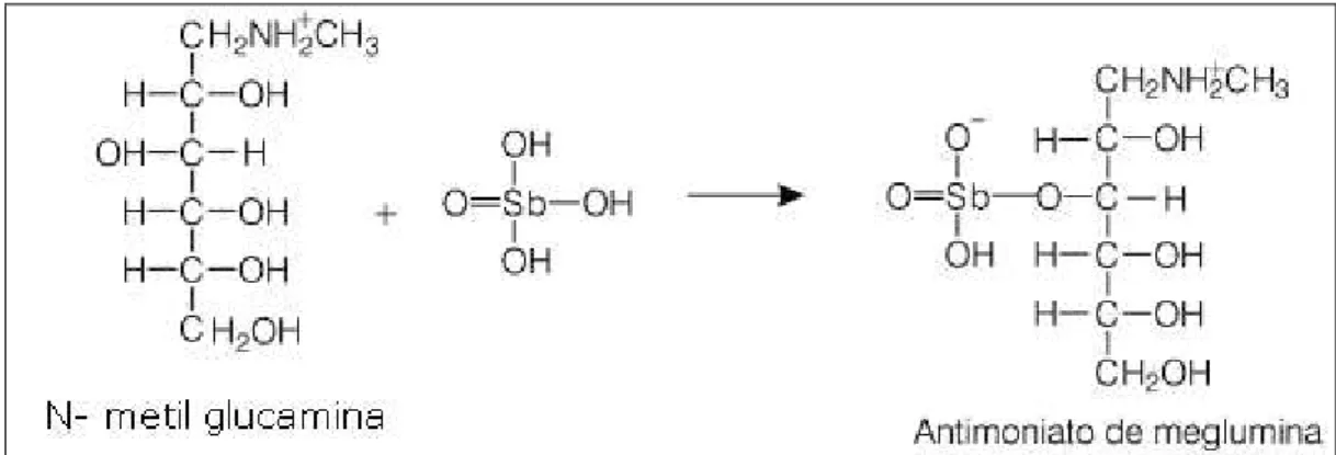 Figura 1: Formação e estrutura química proposta do antimoniato de meglumina  Fonte: (Demicheli, De Figueiredo et al., 1999) 