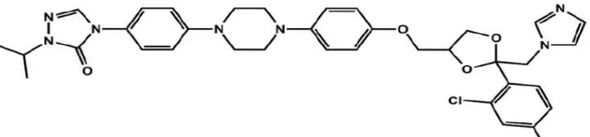 Figura  2  –   Itraconazol  (Itz):  4-(4-(4-(4-((2-(2,4-dichlorophenyl)-2-(1H-1,2,4-triazol- 4-(4-(4-(4-((2-(2,4-dichlorophenyl)-2-(1H-1,2,4-triazol- 1-ylmethyl)-1,3-dioxolan-4-yl)methoxy)phenyl)-1-piperazinyl)phenyl)-2,4-dihydro-2-(1-methylpropyl) (Brainf