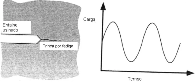 Figura 2.17 – Trinca por fadiga introduzida através de carregamento cíclico, ANDERSON  (2005)