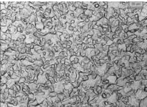 Figura 2. Microestrutura de um aço AISI 430; aquecido a 900°C – 10 minutos; resfriado ao ar; após Prática W; 500X .