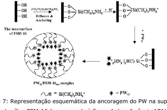 Figura 7: Representação esquemática da ancoragem do PW na super- super-fície da sílica FSM-16 (corresponde à figura 1 da referência 171)