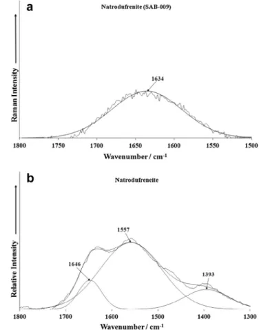 Fig. 6. (a) Raman and (b) Infrared spectrum of natrodufrénite in the 1500–