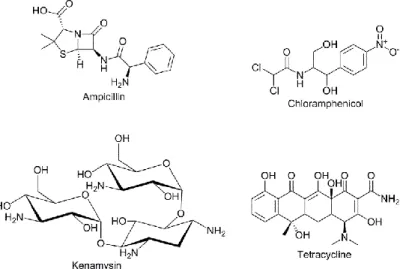 Figure 3 – Structures of some antibiotics. 