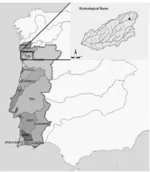 Fig. 1. River Ave hydrological basin. 