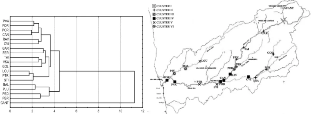 Fig. 3. Dendrogram of the 11 quality variables without PEV and the spatial representation of  River Ave’s clusters