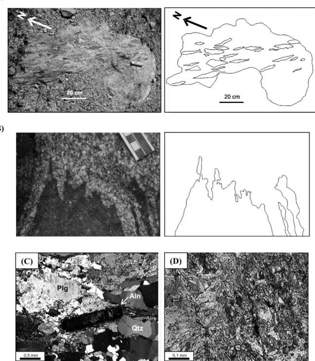 Figura 3.7 – Aspectos de campo e microscópicos dos tonalitos das localidades próximas a Alto Maranhão, e do  dique máfico da pedreira AM-16