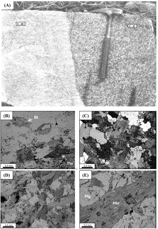 Figura 3.10 – Aspectos de campo e microscópicos das rochas amostradas no Plúton Caeté
