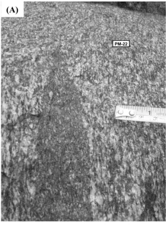 Figura 3.12 – Aspectos de campo e microscópicos de rochas amostradas na localidade Pé do Morro
