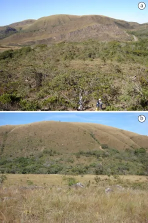 Figura 1. Localização das parcelas (retângulos brancos)  dentro e fora do Parque Ecológico Quedas do Rio Bonito