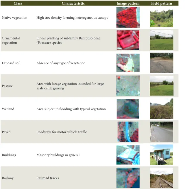 Table 1. Occupation and land use classes, their characteristics, image (composition 5R 3G 2B) and field patterns,  found in studied PPAs.