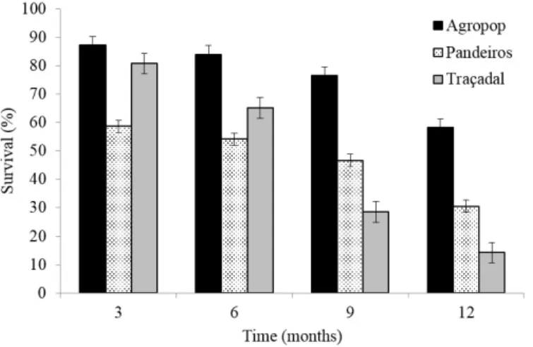 Figure 3. Average survival percentage of saplings planted for the rehabilitation of riparian vegetation of Pandeiros  river (Januária, MG), for restoration areas and evaluation time