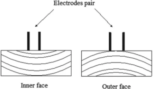 Figure 1. Transversal sections showing the surfaces in  which the electrodes were fixed for moisture content  measuring.