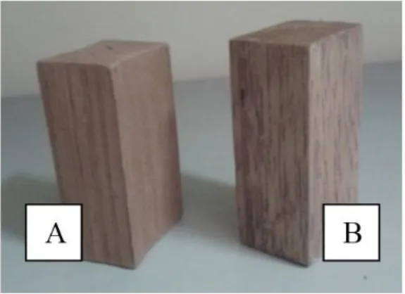 Figure 3. Specimen of the species for physical testing  of Cedrela odorata (A) and Cedrelinga cateniformis (B).