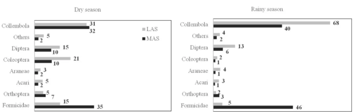 Table 3. Distribution of the soil arthropod taxonomic groups classified as “Others” in the less advanced stage (LAS)  and more advanced stage (MAS) of Atlantic Rain Forest regeneration, during the dry and rainy seasons.