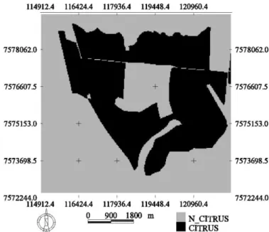 FIGURE 1. Citrus areas resulting  from  visual interpretation. 