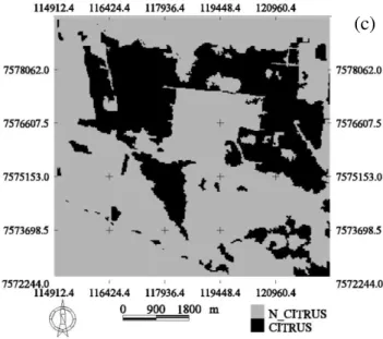 FIGURE 5. Cluster classification using bands 2 (a), 3 (b) and 4 (c), CCD/CBERS-2B. 