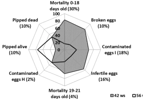 FIGURE 2. Weight of the secondary criteria and their values weighed in relation to the breeder age  analyzed (42 and 56 days)