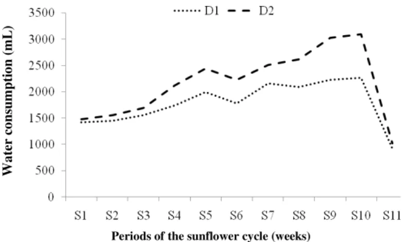 FIGURE  4.  Mean  weekly  water consumption of sunflower plants (cv. EMBRAPA 122-V2000)  grown in hydroponic system with different planting densities, under saline stress, for  different stages of evaluation