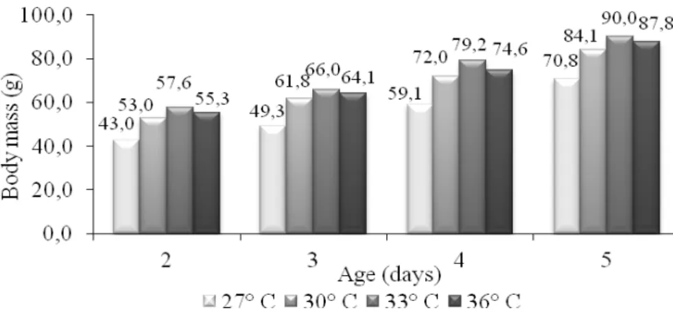 FIGURE 7. Body mass of chicks subjected to air dry-bulb temperatures of 27°, 30°, 33° and 36°C  during the 2 nd , 3 rd , 4 th  and 5 th  days of life