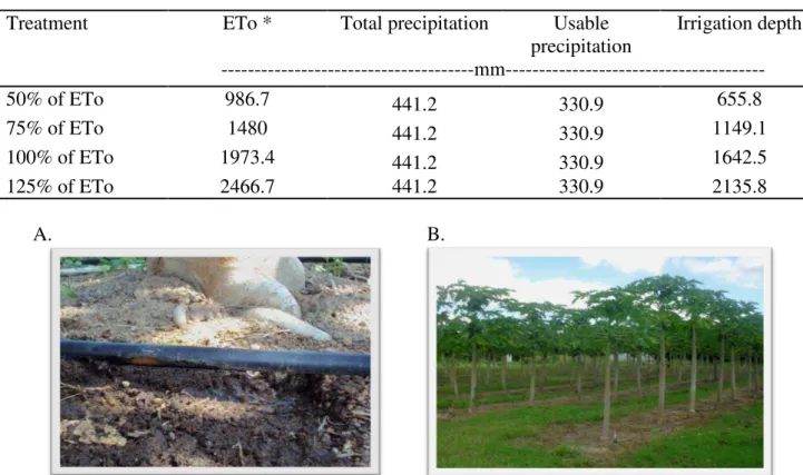 TABLE 1.  Reference evapotranspiration (ETo), total precipitation, usable precipitation and applied  depths of irrigation in the different replacement rates studied