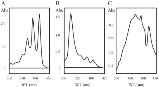 Figura  4:  Perfis  espectrofotométricos  dos  diferentes  estados  de  agregação  da  anfotericina  B