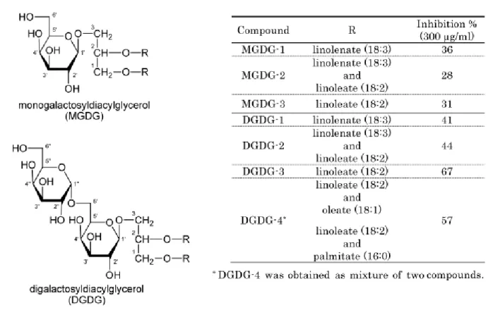 Figura 3: Constituintes de C. esculenta: MGDG e DGDG. Fonte: SAKANO et al. (2005). 