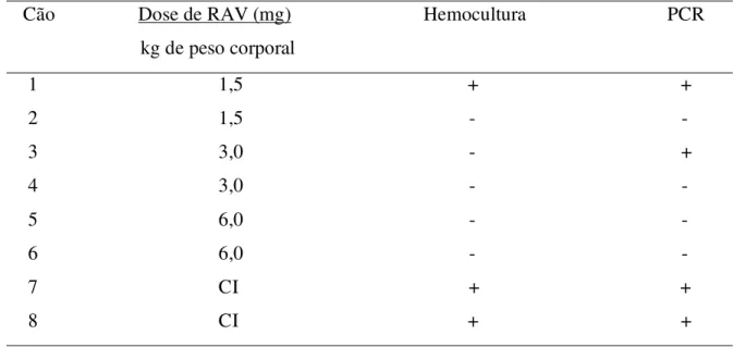 Tabela  2.  Positividade  das  técnicas  de  hemocultura  e  PCR  realizadas  30  dias  após  o  tratamento de cães infectados com 2000 formas tripomsatigotas sanguíneas da cepa Y do  T