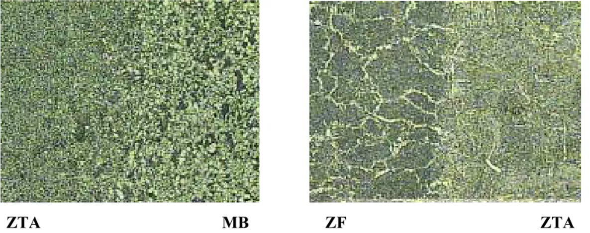 Figura 5.1 - Fotomicrografias das três zonas estabelecidas na soldagem (ataque com nital 3%; aumento de 100X)